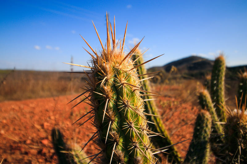 Foto: Aurélio Alves/O POVO