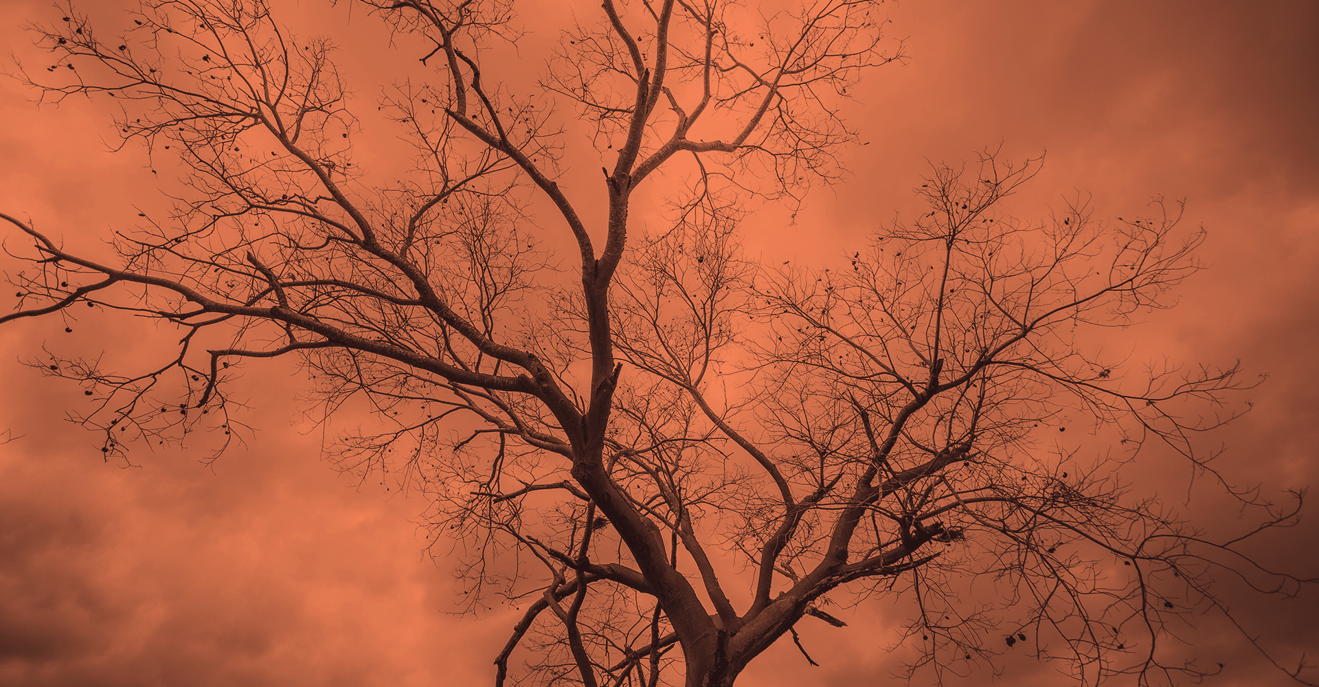 Foto: Aurélio Alves/O POVO