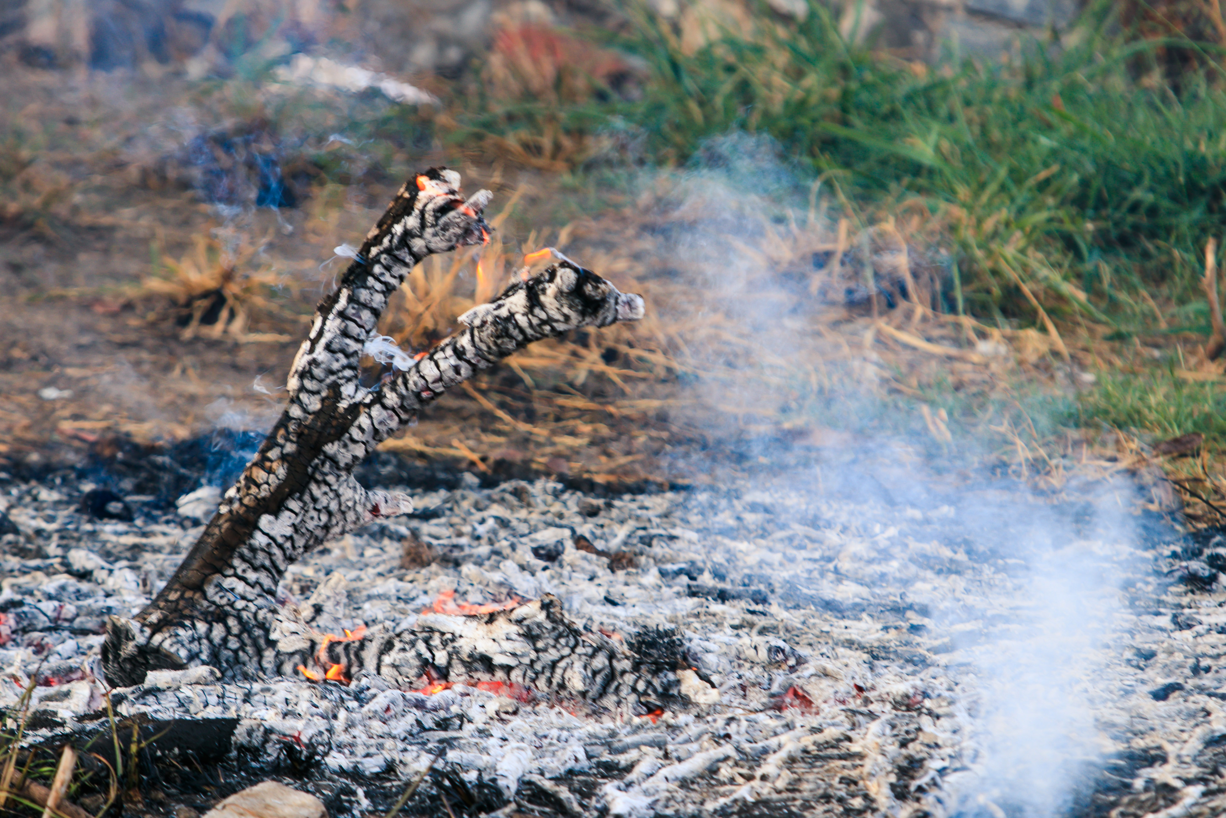 Foto: Aurélio Alves/O POVO